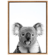 Oh Hi Koala Photographic Art Print