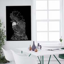 The Masked Ball II Black Cockatoo Canvas Wall Art