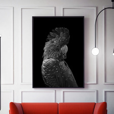 The Masked Ball Black Cockatoo Canvas Wall Art