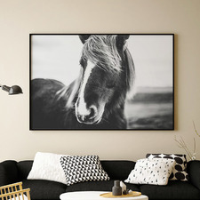 Horse Fringe Benefits Photographic Art Print