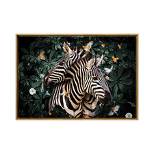 Zebras Framed Canvas Wall Art