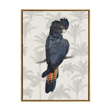 Tropical Cockatoo Framed Canvas Wall Art