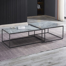 2 Piece Davy Nesting Coffee Table Set