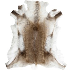 Scandinavian Reindeer Hide