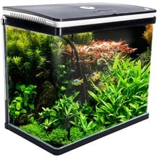 Curved Glass 52L RGB LED Fish Tank
