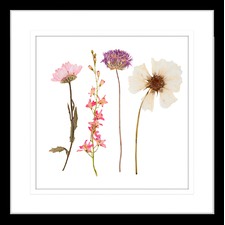Spring WIldflowers II Framed Print