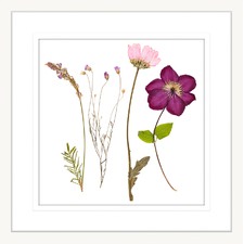 Spring WIldflowers III Framed Print