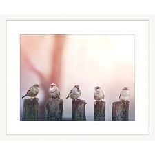 Swallows Song III Framed Print