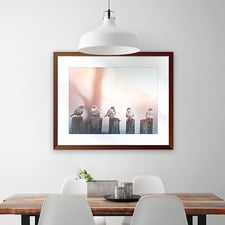 Swallows Song III Framed Print