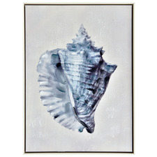 Horned Shell Painted Framed Canvas Wall Art
