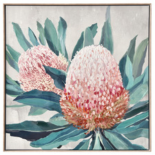 Pink Banksia Framed Canvas Wall Art