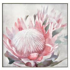 Blush Protea Framed Canvas Wall Art