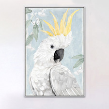 Cocka-too Cute Framed Canvas Wall Art