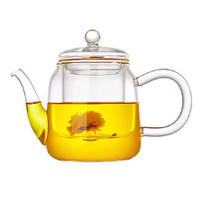 Novato 500ml Glass Teapot with Filter