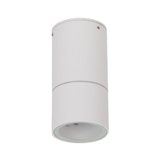 Juliet Tri-Colour Outdoor Downlight