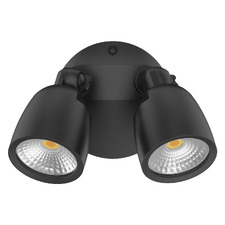 Farah 2 Light Outdoor Wall Spotlight