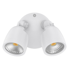 Farah 2 Light Outdoor Wall Spotlight