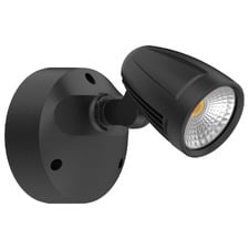 Hailee Outdoor Wall Spotlight