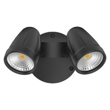 Hailee 2 Light Outdoor Wall Spotlight