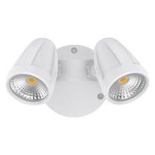 Hailee 2 Light Outdoor Wall Spotlight