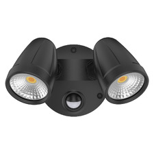 Hailee 2 Light Security Light