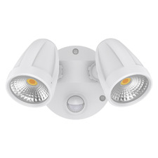 Hailee 2 Light Security Light