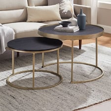 2 Piece Gaia Nesting Coffee Table Set