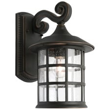 Bronze Shivani Outdoor Wall Light