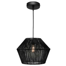 Danielle Steel Pendant Light