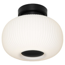 Chase Steel DIY Batten Fix Light