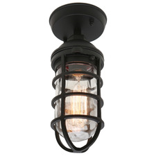 Jewel Outdoor Ceiling Light