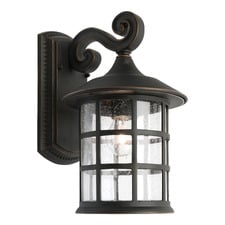 Bronze Shivani Outdoor Wall Light