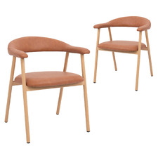 Asher Faux Leather Dining Chairs (Set of 2)