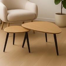 2 Piece Amato Nesting Coffee Table Set