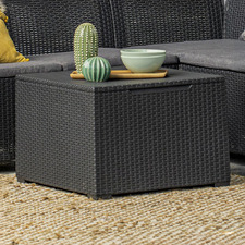 Emma Outdoor Storage Coffee Table
