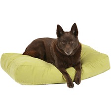 Avocado Metro Shapes Oblong Pet Cushion