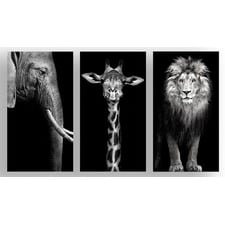 The Finest African Photographic Art Print Triptych (Set of 3)