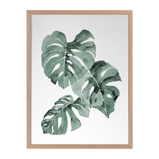 Zulu Monstera Framed Printed Wall Art
