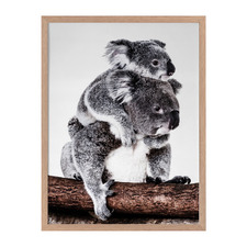 Mama Bear Framed Printed Wall Art