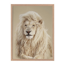 Lion King Framed Printed Wall Art