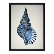 Indigo Conch I Framed Printed Wall Art