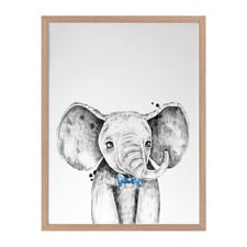 Errol Elephant Framed Printed Wall Art