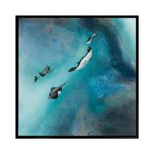 Stingrays Canvas Wall Art