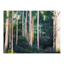 Eucalypt Canvas Wall Art