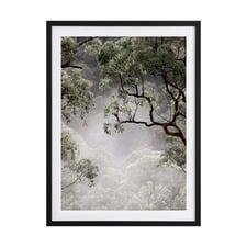 Misty Gum Tree Framed Printed Wall Art