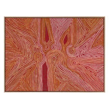 Mina Mina Jukurrpa III Framed Canvas Wall Art