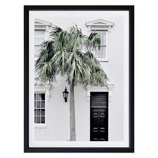Palm Street Framed Printed Wall Art
