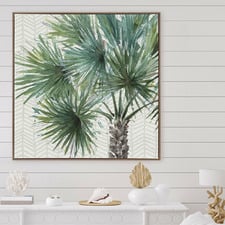 Date Palm II Canvas Wall Art