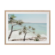 Pandanus in Paradise Printed Wall Art