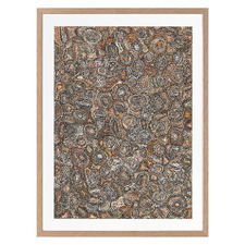 Ngapa Jukurrpa Water Dreaming Printed Wall Art